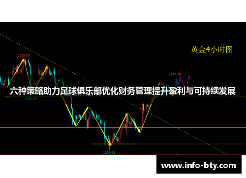 六种策略助力足球俱乐部优化财务管理提升盈利与可持续发展