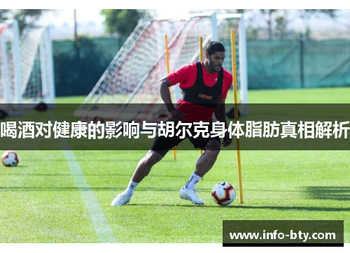 喝酒对健康的影响与胡尔克身体脂肪真相解析