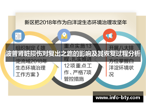 波普肾脏损伤对复出之路的影响及其恢复过程分析