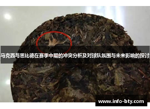 马克西与恩比德在赛季中期的冲突分析及对球队氛围与未来影响的探讨