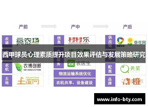 西甲球员心理素质提升项目效果评估与发展策略研究