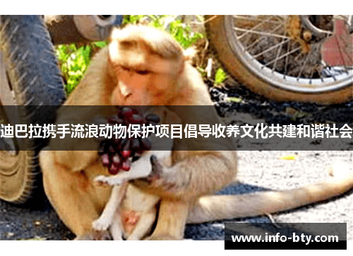 迪巴拉携手流浪动物保护项目倡导收养文化共建和谐社会