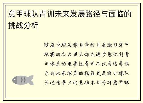 意甲球队青训未来发展路径与面临的挑战分析
